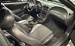 2004 Mustang Mach1 Thumbnail 17