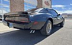 1979 Trans Am Thumbnail 11
