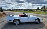 1991 Corvette Thumbnail 9
