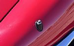 1973 XKE / E-Type Thumbnail 27