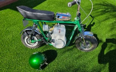 Photo of a 1969 Rupp Goat for sale