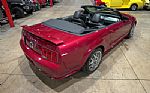 2005 Mustang GT Convertible Thumbnail 17