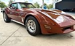 1981 Corvette Thumbnail 19