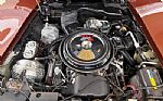 1981 Corvette Thumbnail 38
