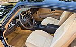1981 Firebird Trans Am Thumbnail 5