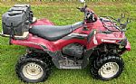 2009 Brute Force 750 Thumbnail 1