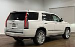 2019 Escalade Thumbnail 4