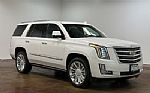 2019 Escalade Thumbnail 22