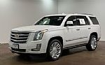 2019 Escalade Thumbnail 28
