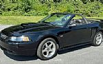 2003 Mustang GT Convertible Thumbnail 4