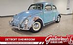 1962 Beetle Thumbnail 1