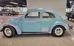 1962 Beetle Thumbnail 17
