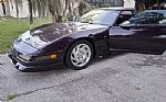 1993 Corvette Thumbnail 17