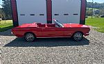 1965 Mustang Thumbnail 2