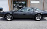 1979 Trans Am Thumbnail 4