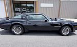 1979 Trans Am Thumbnail 5