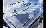 1979 Trans Am Thumbnail 6