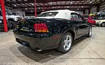 1999 Mustang SVT Cobra Convertible Thumbnail 24