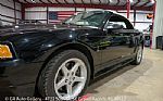 1999 Mustang SVT Cobra Convertible Thumbnail 48
