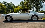 1977 Firebird Trans-Am Thumbnail 9