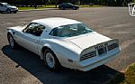 1977 Firebird Trans-Am Thumbnail 11