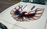 1977 Firebird Trans-Am Thumbnail 69