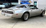 1979 Firebird Thumbnail 6