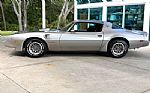1979 Firebird Thumbnail 10