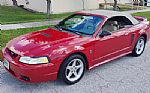 1999 Mustang Cobra Thumbnail 2