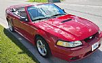 1999 Mustang Cobra Thumbnail 3