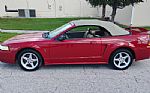 1999 Mustang Cobra Thumbnail 6