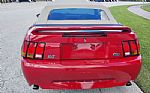1999 Mustang Cobra Thumbnail 10