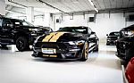2019 GT350-H Thumbnail 3
