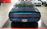 1979 Trans Am Thumbnail 5