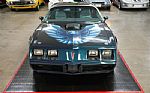 1979 Trans Am Thumbnail 17