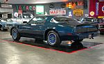 1979 Trans Am Thumbnail 20