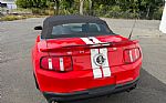 2011 Shelby GT500 Thumbnail 16