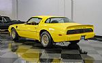 1979 Firebird Trans Am Thumbnail 9