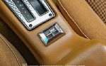 1979 Firebird Trans Am Thumbnail 52