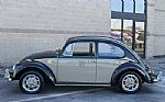 1966 Beetle Thumbnail 3