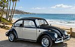 1966 Beetle Thumbnail 1