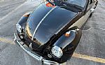 1966 Beetle Thumbnail 49
