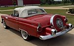 1955 Thunderbird Thumbnail 4