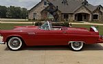 1955 Thunderbird Thumbnail 8