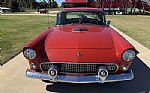 1955 Thunderbird Thumbnail 10