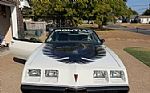 1980 Trans Am Firebird Thumbnail 2