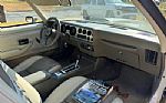 1980 Trans Am Firebird Thumbnail 9
