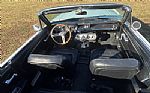 1966 MUSTANG Thumbnail 4