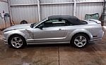 2006 MUSTANG Thumbnail 3