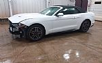 2021 Mustang Thumbnail 2